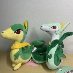 ぬいぐるみ Pokémon fit ジャノビー　ジャローダセット