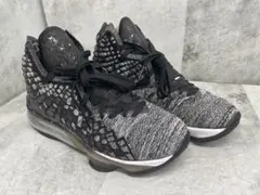 NIKE LEBRON XVII レブロン17のサムネイル