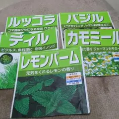 ハーブの種　5種類　家庭菜園　ルッコラ