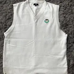 Stussy ホワイト Vネック ベスト Lサイズ