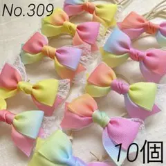 トリミングチョーカー　【309】