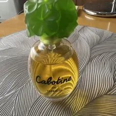 Calotine de Gres 香水のサムネイル