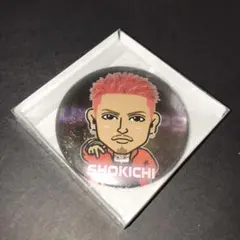 SHOKICHI75mm 缶バッチ③ under dogg