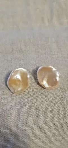 2025年最新】ripsalis イヤリングの人気アイテム - メルカリ