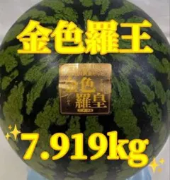 519 匿名発送！千葉県産　金色羅皇スイカ　高糖度　10.174kg１玉 517 匿名発送！千葉県産 金色羅皇スイカ 高糖度 7.919kg1玉 - メルカリ