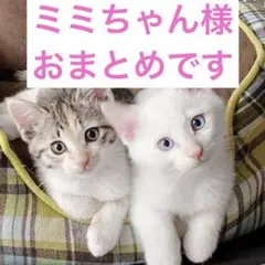 ミミちゃん様 リクエスト 5点 まとめ商品