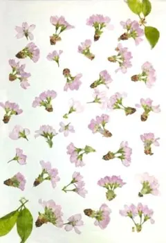 もゆる。様 リクエスト 3点 まとめ商品