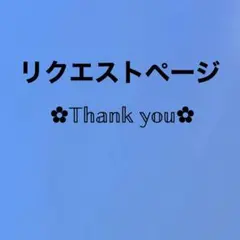 かっちゃん様 リクエスト 2点 まとめ商品