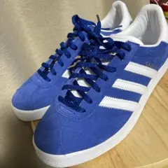 Item thumbnail for item 99655fc5-95db-45cc-9cb7-bd29f10fd689