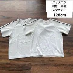 ジャクエツ　紺色　半袖　2枚セット　120cm