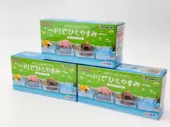 ポケモンのんびりタイム～川でひとやすみ～ BOX ※2BOXのサムネイル