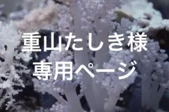 Item thumbnail for item 1fff6f6c-634b-4a6d-a085-fbbcee6956f1