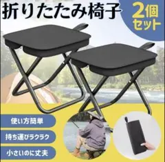 【2個セット】折りたたみ椅子 2個セット 軽量コンパクト アウトドア キャンプのサムネイル