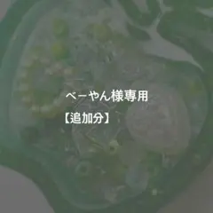 ベーやん様専用【追加分】