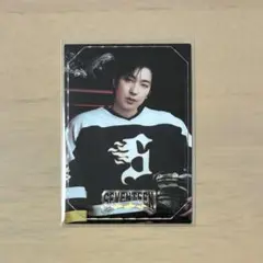 ウォヌ トレカ seventeen home 2025 17