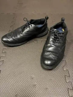 COLE HAANコールハーン　ゼログランド ウィングチップ　25.0cmのサムネイル