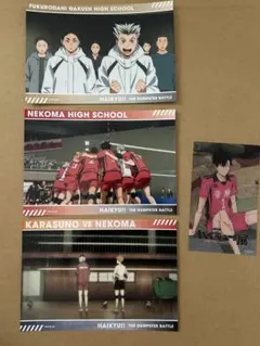 ハイキュー!! ゴミ捨て場の決戦展 トレーディングスナップカード 入場特典