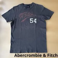 Abercrombie & Fitch アバクロ メンズ Tシャツ　Lサイズ