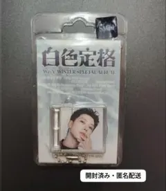 WayV 白色定格 SMini テン 本体のみ