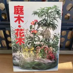 どらじじ様 リクエスト 2点 まとめ商品