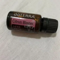 2025年最新】シトラスブルームの人気アイテム - メルカリ