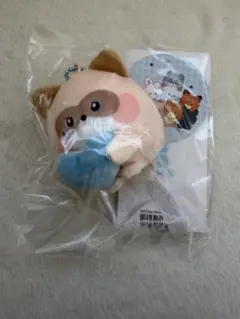 zb1 ゼベワン　ジャンハオ　ぬいぐるみマグネットキーリング　ハニニ