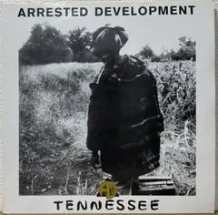 ARRESTED DEVELOPMENT/TENNESSEE 12インチレコード
