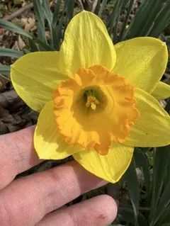 プルダイ様 リクエスト 4点 まとめ商品