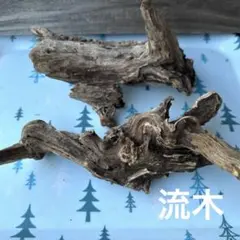 流木・自然な形状・インテリア用　2個セット