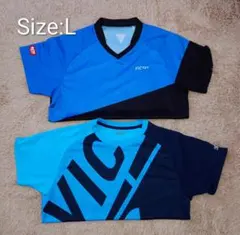 Item thumbnail for item 3b57f512-1190-4833-967a-b5f165526fae