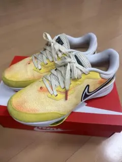 2026年最新】nike エア ズーム インフィニティ ツアー nxt%の人気