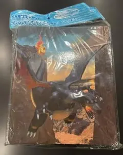 2026年最新】色違いリザードン ファイルの人気アイテム - メルカリ