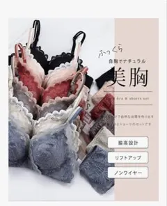 Lace Ladies ノンワイヤー ブラショーツセットのサムネイル