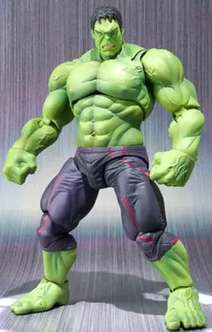 め*ぃ様 フィギュアーツ ハルク 画像のもののみです レア 2026年最新】S.H.Figuarts ハルク 「アベンジャーズ/エイジ・オブ