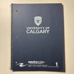 Item thumbnail for item f70af4e1-35eb-4885-85ca-b8b641a8eeca