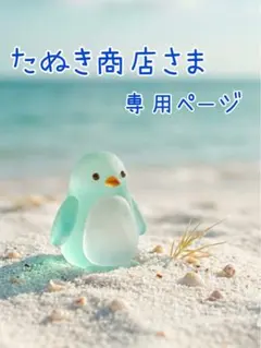 たぬき商店さま専用 ヨンジェまとめ売り