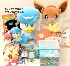 ピカピカボックス2026 1品追加あり (未開封っぽく演出可能)