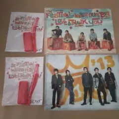 嵐★嵐フェス'13 グッズセット ペンライト クリアファイル