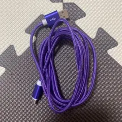 紫色 USB Type-C ケーブル　2m