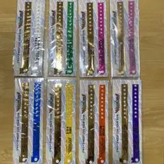 WESTIVAL 2018 ウエスティパス　バンド セット