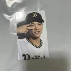 ブーたん様 リクエスト 4点 まとめ商品