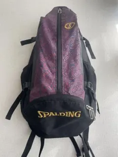 Item thumbnail for item 4c370c58-e847-42f3-9451-bbb767266abf