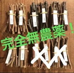 組✨様専用！ 完全無農薬のかじり木4種