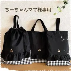 ♡ちーちゃんママ様専用♡入園入学セット　ハンドメイド　女の子　レッスンバッグ