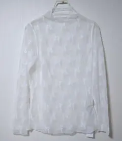 Item thumbnail for item bfd03f7a-1549-42db-b53f-3446d8d00b6e