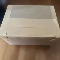 メンズサイズ