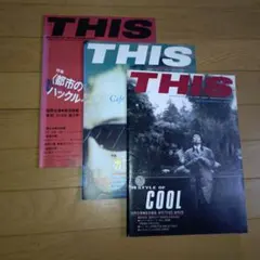 佐野元春　雑誌『THIS』 Vol.2〜4 1986/1987