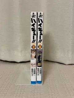 ハイキュー!! 小説(12) & (13)