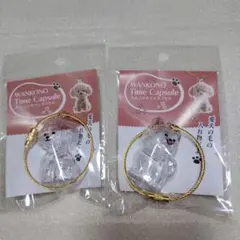 わんこのタイムカプセル　２種セット