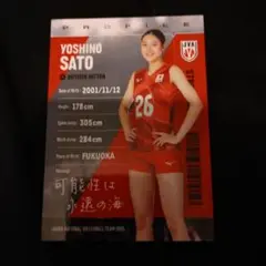 女子バレーボールトレカ佐藤淑乃